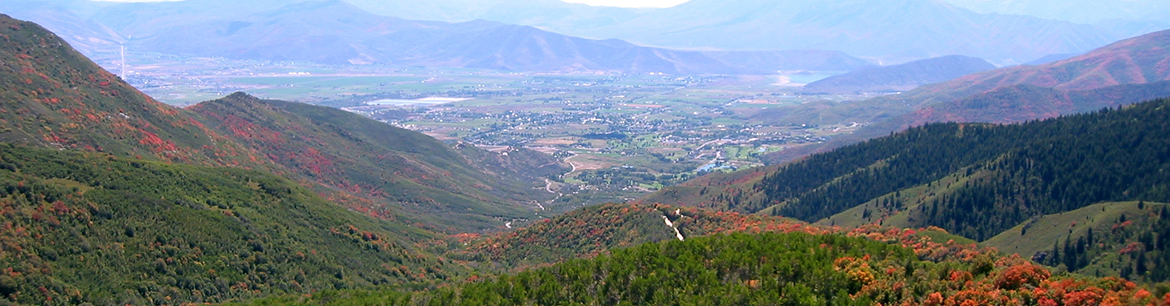 Photo of Pine Canyon in the Fall